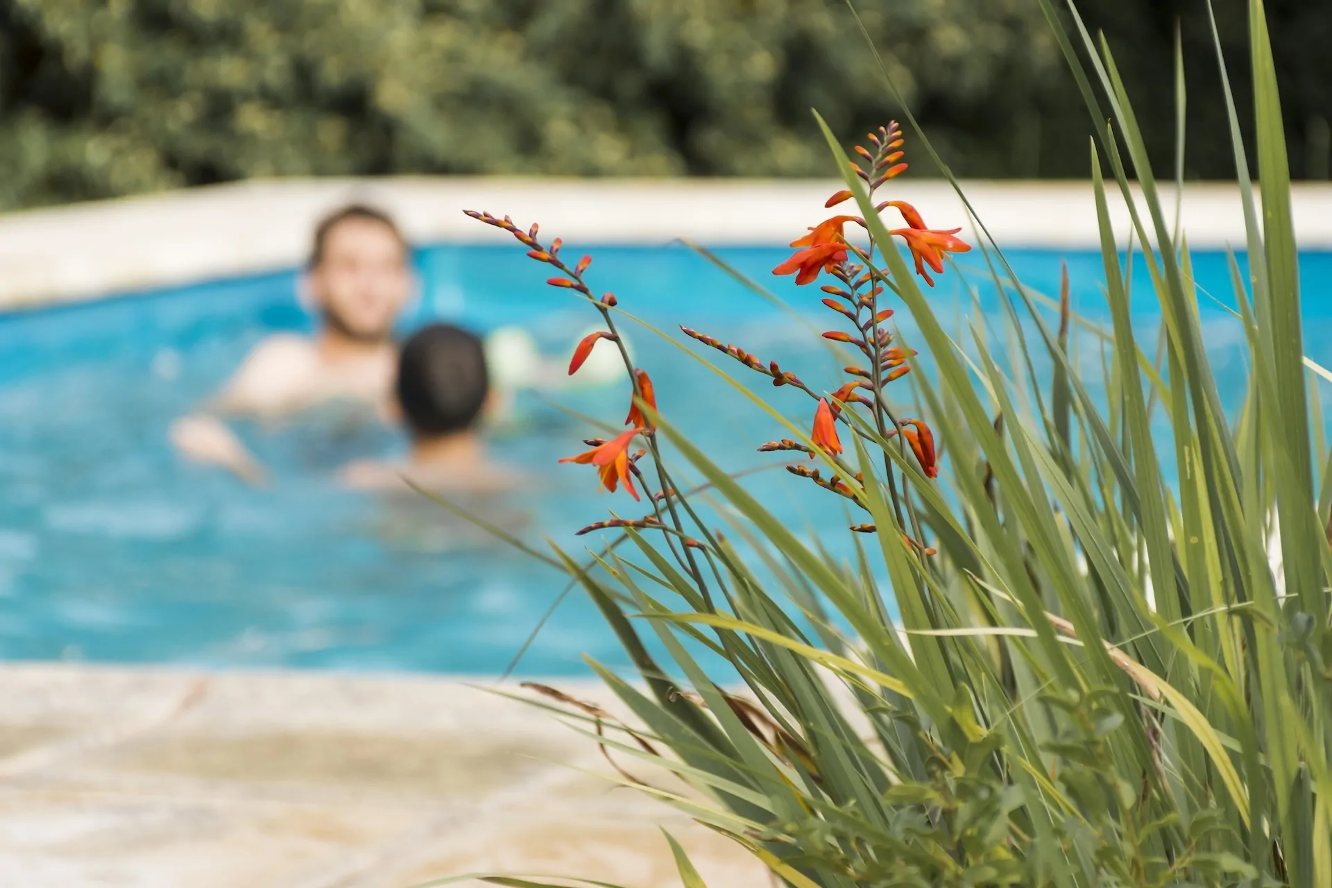 REMISE EN ROUTE PISCINE