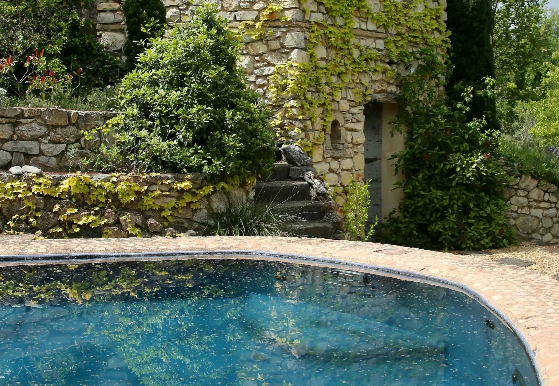 Entretien piscine été