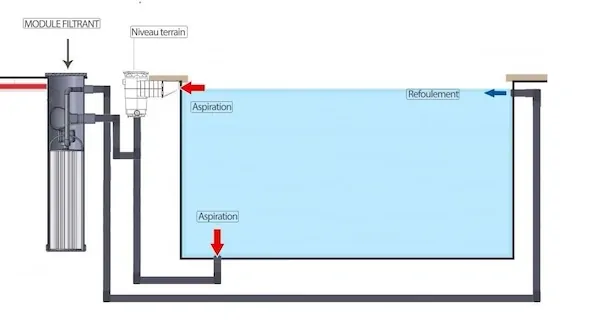 schema